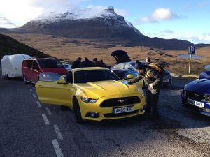 Mustang2 (1)