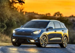2017 Niro - Blue