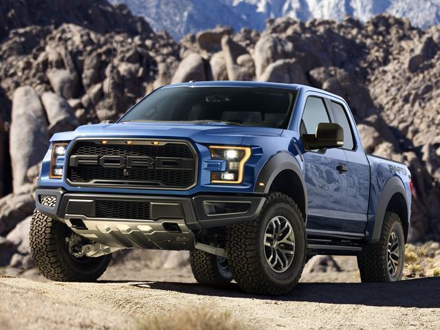 raptor