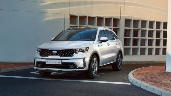 sorento