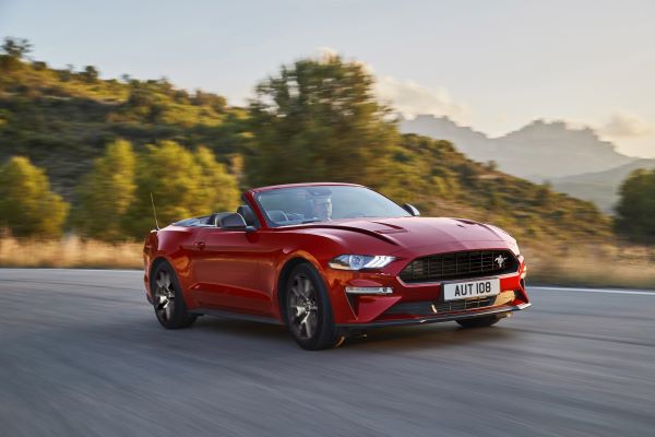 mustang