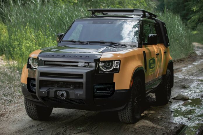 defender